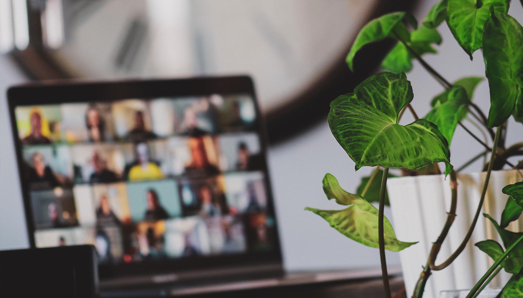 A plant in the foreground with a design workshop virutal event going on in a laptop in the background